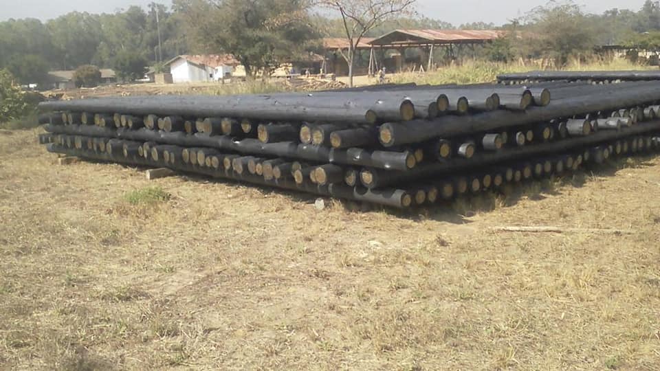 Poste de eucalipto tratado