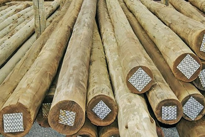 Poste de eucalipto tratado