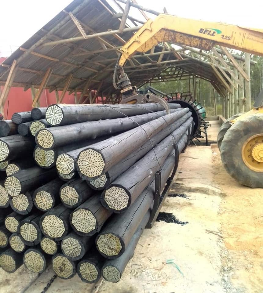 Poste de eucalipto tratado