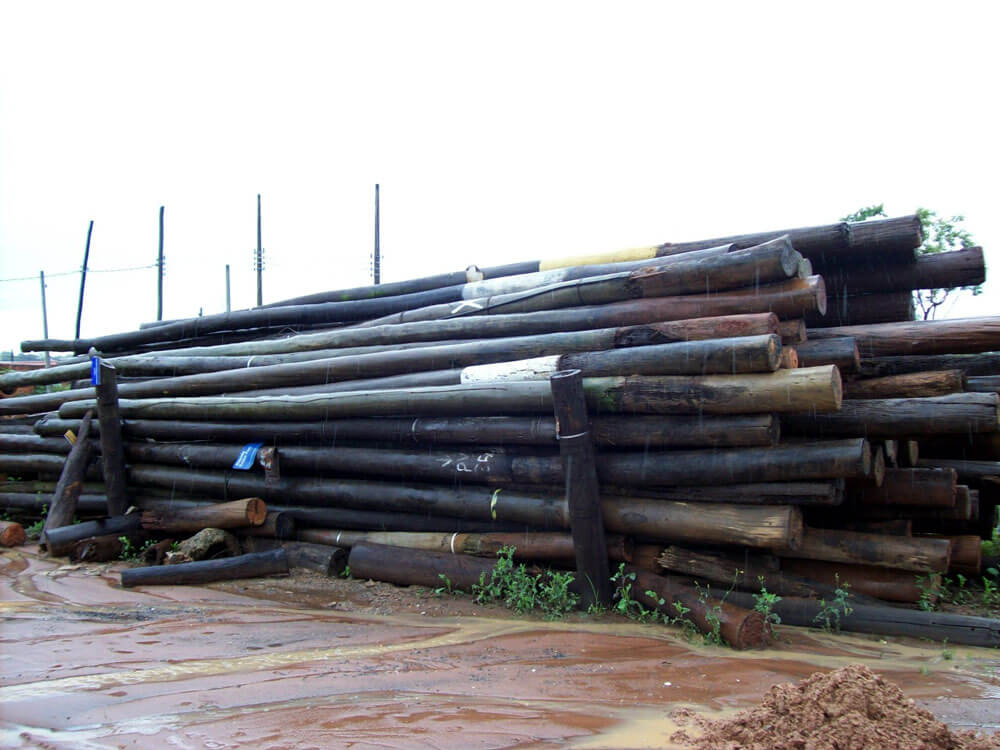 Postes e mourões de eucalipto tratado