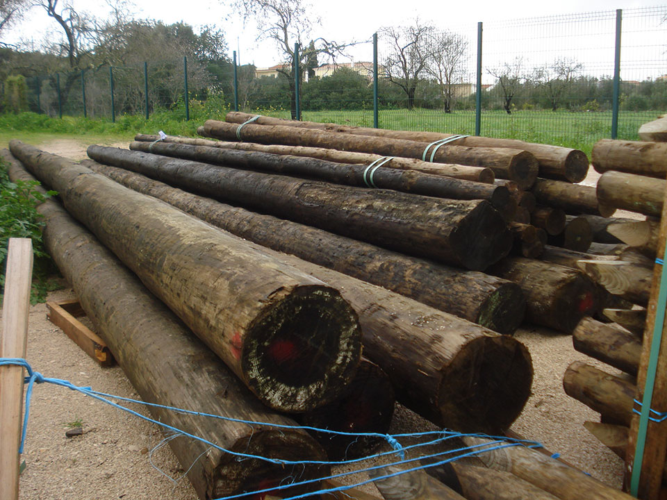 Postes de eucalipto tratado